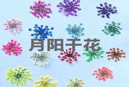 茶叶分装销售|贵州省务川自治县奢湘茗生态茶业有限公司形象图